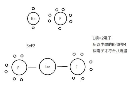 八偶體法則